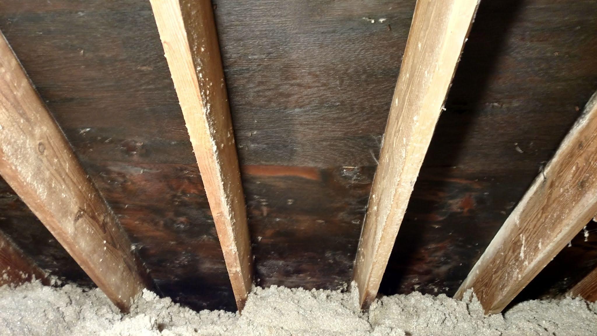 Moistures issues in joists of attic